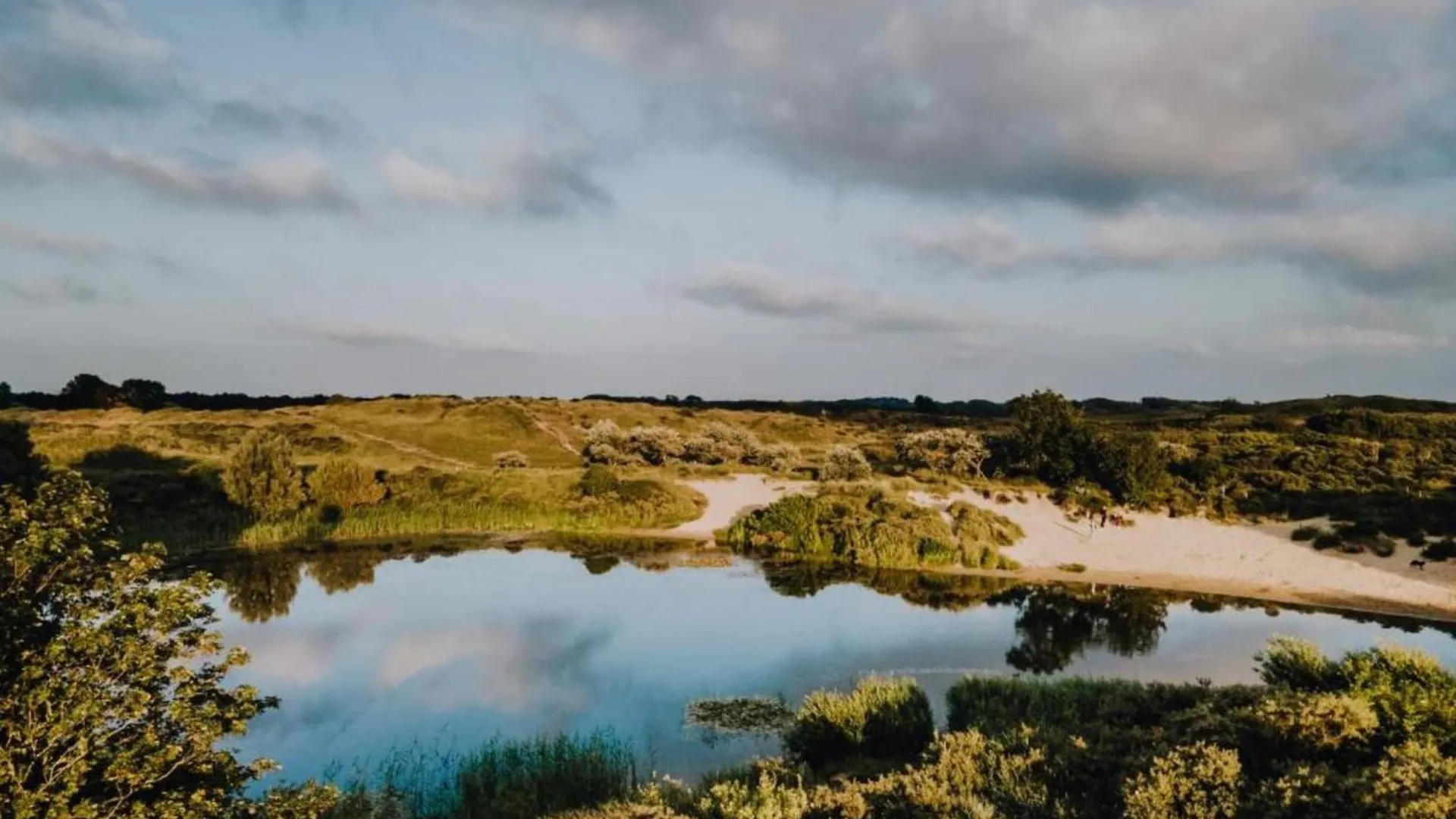 Blue Shell With Private Parking Garage Apartment Zandvoort Netherlands